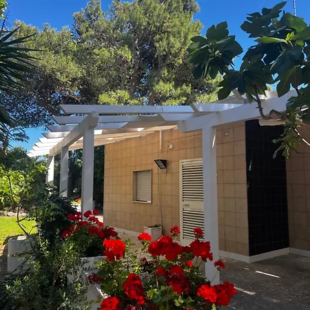 Racar فريغولي