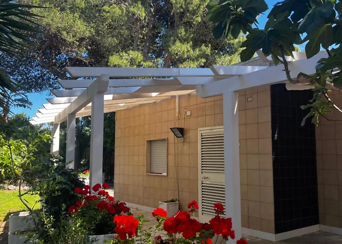 Racar فريغولي